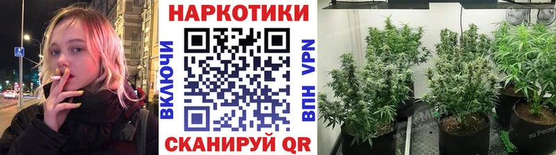 Продажа наркотиков Ковров Канабис МЕФ A PVP Гашиш Cocaine