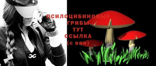 синтетический гашиш Верхний Тагил