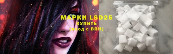 хмурый Верея
