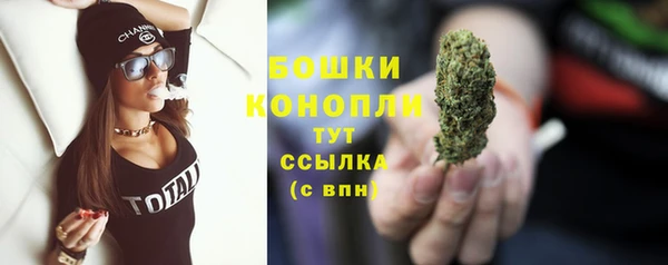хмурый Верея