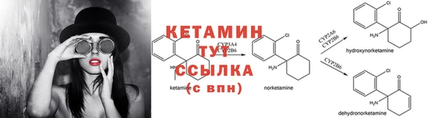 хмурый Верея
