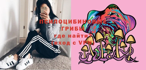 МДПВ Верхнеуральск