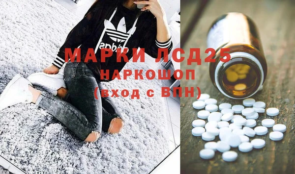 ПСИЛОЦИБИНОВЫЕ ГРИБЫ Струнино